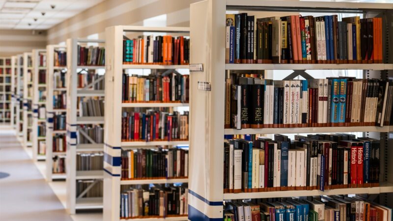 Miesiąc wydarzeń kulturowych w Mławie