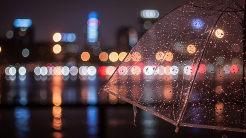 Silny wiatr zagraża powiatowi mławskiemu! Sprawdź prognozy!