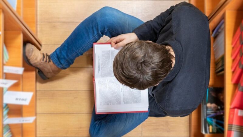 Księżniczka i EKO-żaby: Ekologiczne spektakle dla dzieci w Mławie