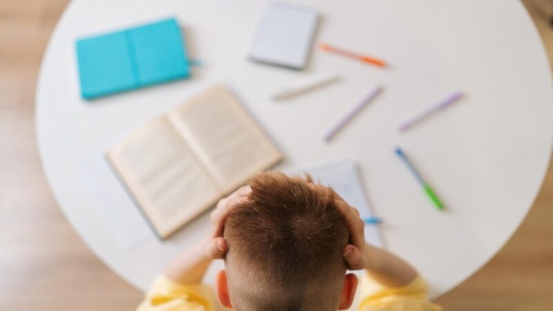 Przedszkolaki z MPS 2 odkrywają tajemnice poczty w programie Pocztowe Przygody