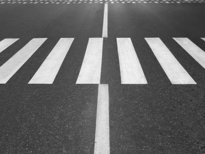 Uwaga kierowcy! Potężne łosie na drodze w rejonie Konopek!