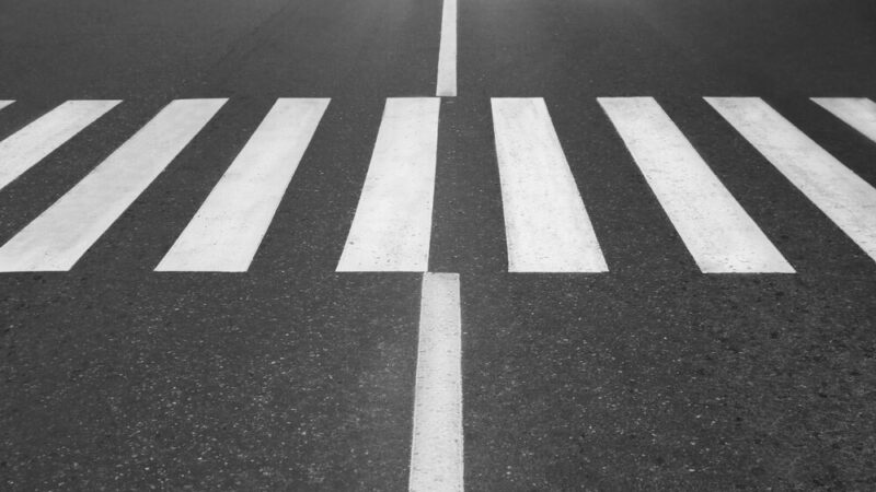 Uwaga kierowcy! Potężne łosie na drodze w rejonie Konopek!