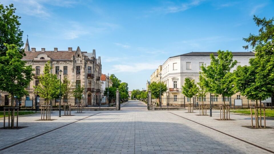 Liga pływacka na Kopernika. Termin i zapisy